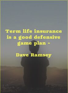 term life insurance