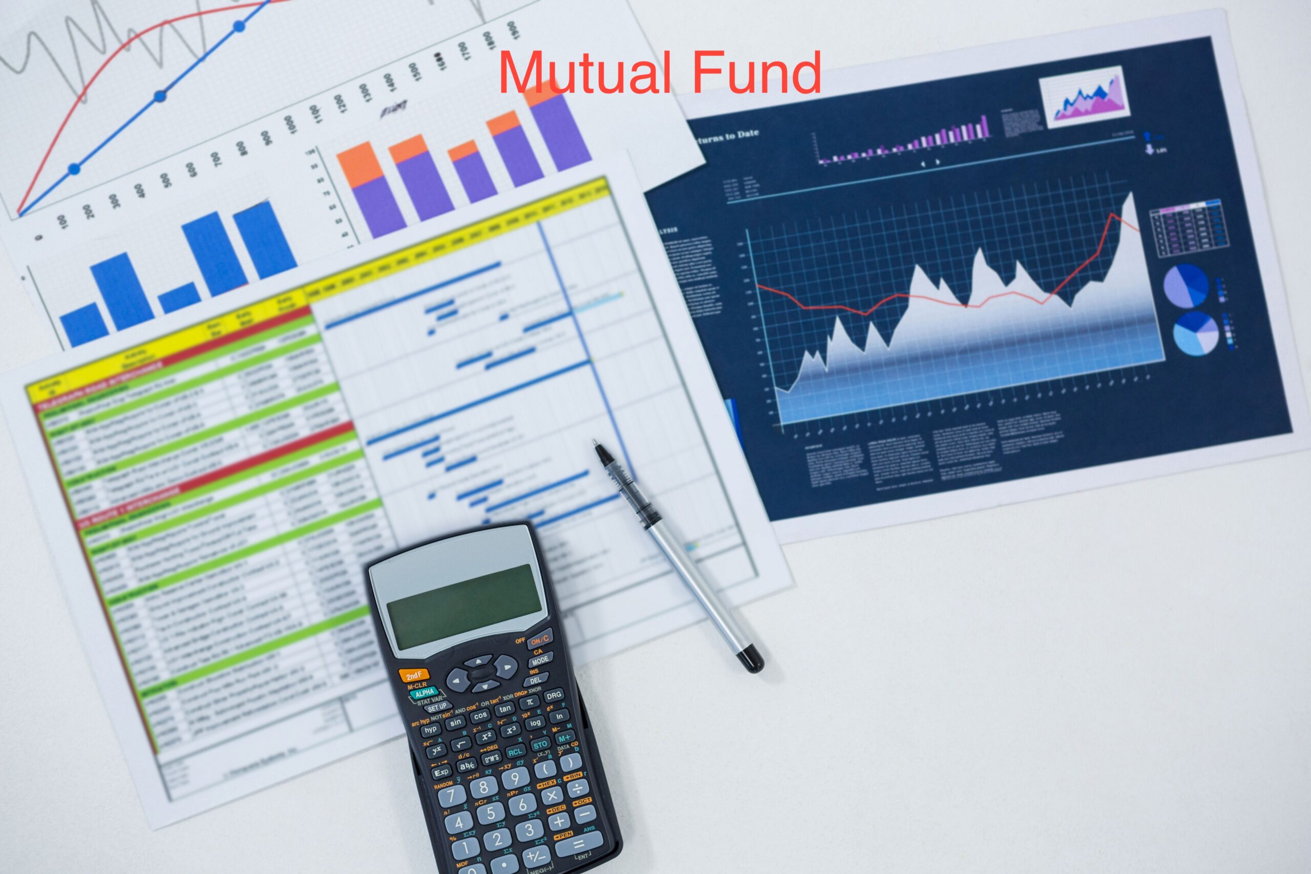 important factors considered for mutual fund investment